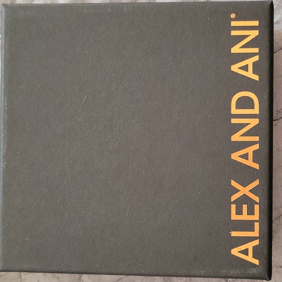 Alex and Ani graduation cap bracelet - Picture 4 of 4